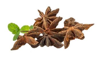 Star-anise on white background photo