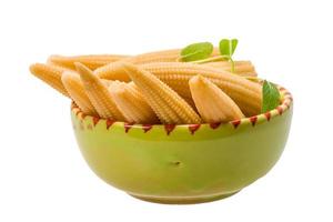 Baby corn in a bowl on white background photo