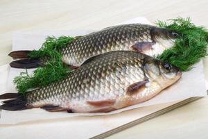 Two crucian on wooden board and wooden background photo