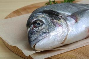 Raw dorado on wooden board and wooden background photo