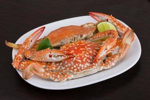 Boiled crabs on the plate and black background photo