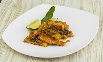 Roasted eel on the plate and wooden background photo