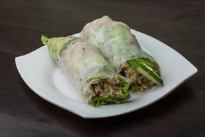 Vietnamese spring roll photo