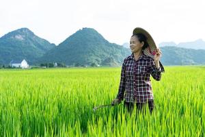Farmer woman in the rice field photo
