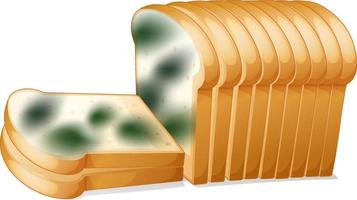 Inedible bread with mould vector