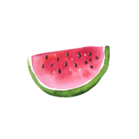 Watercolor fruit slice of watermelon png