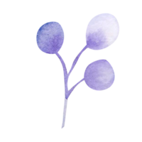 Watercolor floral simple element png