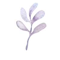 vattenfärg blommig enkel element png