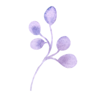 elemento floral simples aquarela png