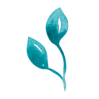 elemento floral simple acuarela png