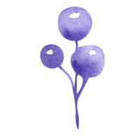 elemento floral simple acuarela png