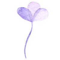 waterverf gemakkelijk bloemen element png