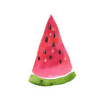 vattenfärg frukt skiva av vattenmelon png