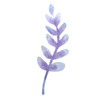 elemento floral simple acuarela png