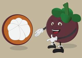 mangosteen fruit character vector