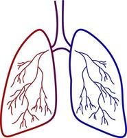 imagen vectorial de los pulmones, para el icono de la salud vector