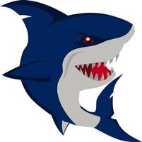 vector image of a shark character