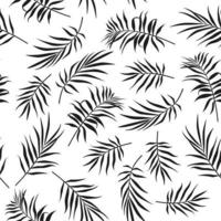 Seamless pattern with palm leaves on white background vector