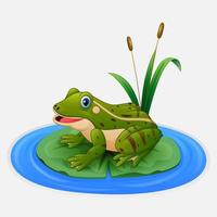 Green frog sits on a leaf in the pond vector