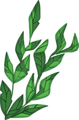 Set of marine vector plants, hand drawn algae