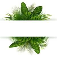 Tropical jungle background with palm trees and leaves on white background vector