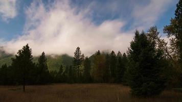 las nubes de lapso de tiempo ondean sobre un bosque.