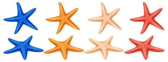 Set of colored starfish on a white background vector