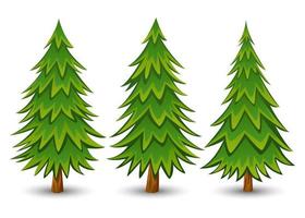 Green Pine trees set on a white background vector