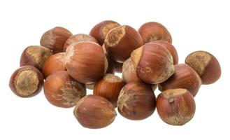 Hazelnut heap on white background photo