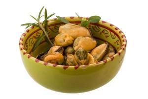 Marinated mussels in a bowl on white background photo