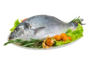 Raw dorada on the plate and white background photo