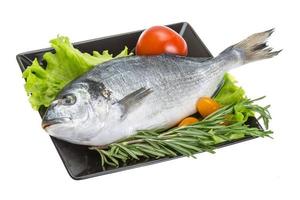 Raw dorado on the plate and white background photo