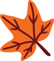 simplicity maple leaf freehand drawing flat design. png