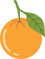 Doodle dibujo a mano alzada de fruta naranja. png