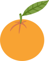 Doodle dibujo a mano alzada de fruta naranja. png
