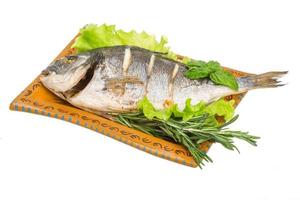 Grilled dorada on the plate and white background photo