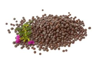 Black mustard seeds on white background photo