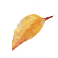 dry yellowed leaves png