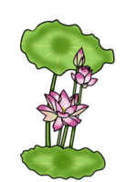 Lotus flowers line art element background png