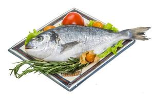 Raw dorado on the plate and white background photo