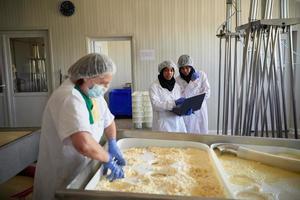 Workers preparing raw milk for cheese production photo