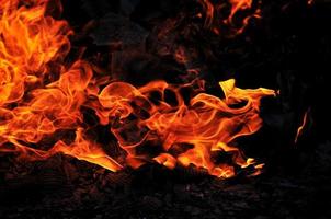 wild fire view photo