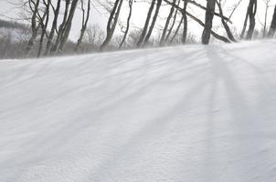 vista del paisaje de invierno foto