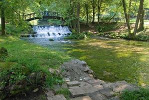 wooden bring over small waterfall photo