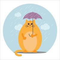 Funny fat cat under a small umbrella in a flat style. Fall autumn cold time. vector