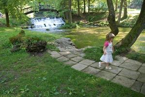 wooden bring over small waterfall photo