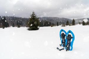 Blue snowshoes in fresh show photo