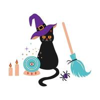 A cat in a witch's hat sits next to a broomstick and magical paraphernalia. vector illustration