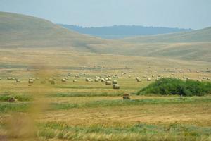 summer landscape view photo