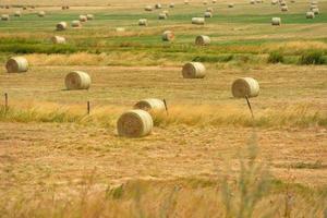 summer landscape view photo